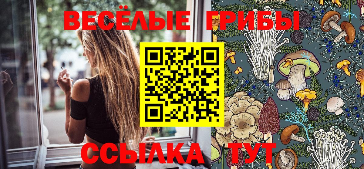 Жуковский  закладки  Вход с VPN  Галлюциногенные грибы Psilocybe 